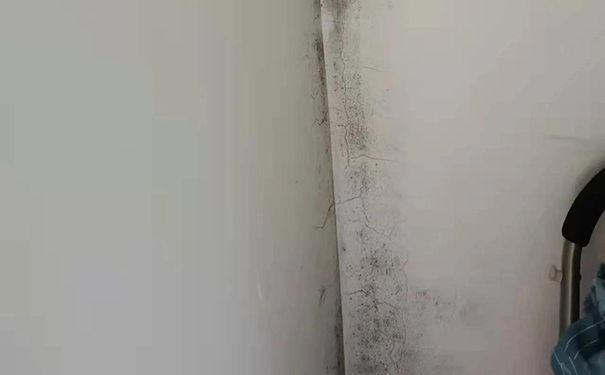 內墻面滲水怎么處理最好?