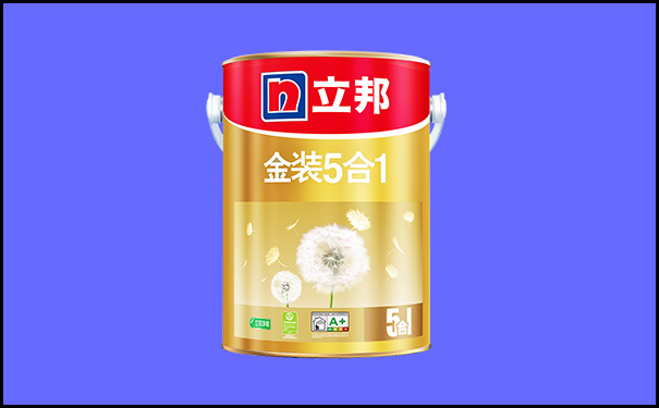 立邦金裝凈味五合一.jpg